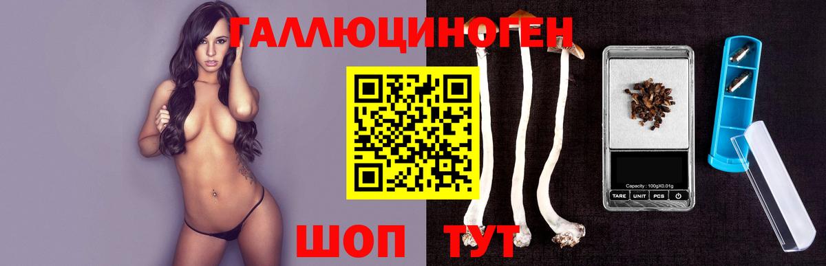 Галлюциногенные грибы Cubensis Дальнегорск